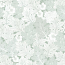 Akantusblomma - Frisk