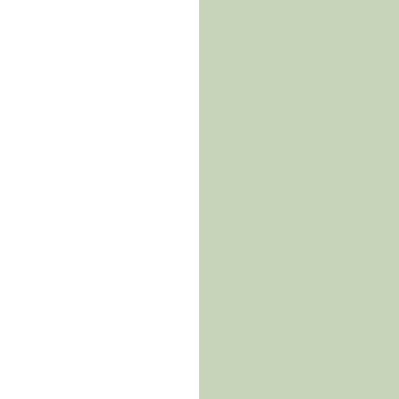 Big Stripes - Vit/Olivgrön Small