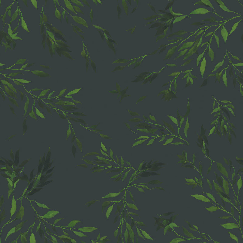 Spirea - Blyertsgrå