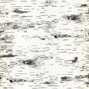 Reveal Tapet Birch – Naturlig björknäver för ett lugnt och organiskt hem