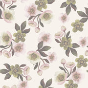 Reveal Wallpaper Hellebores - OffVit – designstark produkt för ett vackrare och mer personligt hem