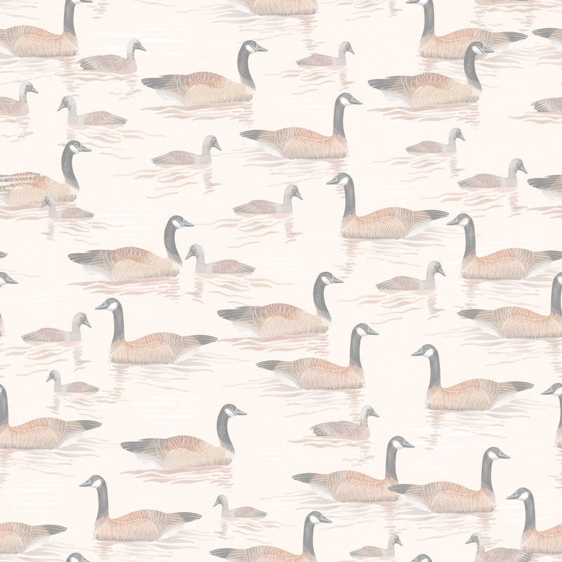 Canada Geese - OffVit