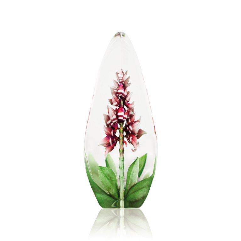 Orkidé, röd - Floral Fantasy
