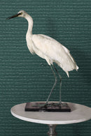 Origin tapet krokodilhud - havsgrönt - Hemmavid.se