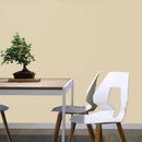 Ginseng Väggfärg Jotun 10245